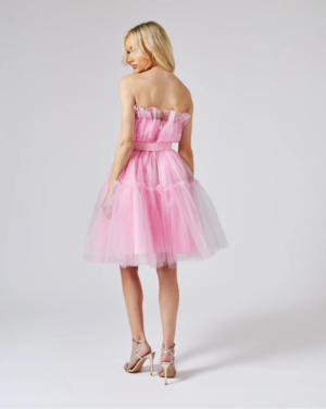 Μίνι Φόρεμα Από Ρόζ Τούλι